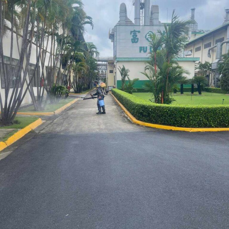 456265191_1045831023938279_6556590115903081635_n