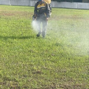 z5695341292102_61c07435b9306ff100d8d22413678560