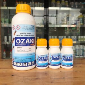 z5695363273203_e5d8e9df1107b342fac79736b7f7b4d1