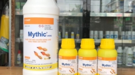 z5695363289352_c1c5c47029a59a773d0550dce8e927c9