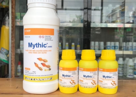 z5695363289352_c1c5c47029a59a773d0550dce8e927c9