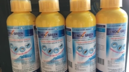 z5695367015261_f610a696b7c63a3e8a96eb9460519525