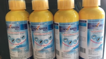 z5695367015261_f610a696b7c63a3e8a96eb9460519525