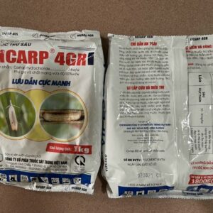 z5695387779882_39a25e3a7c3935ff5f69fd7d78fde8c1