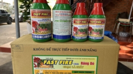 z5695387791913_04be84fc3539e66ad46e8bf64691d1e3