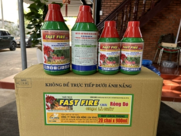 z5695387791913_04be84fc3539e66ad46e8bf64691d1e3