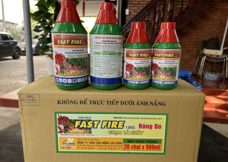 z5695387791913_04be84fc3539e66ad46e8bf64691d1e3