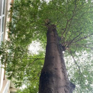 z5695399135541_80697e50db27d2fc6884ae18cc537d96