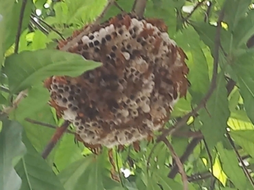 z5695399156781_8d2916bbe13028d537ea25261b863f8d